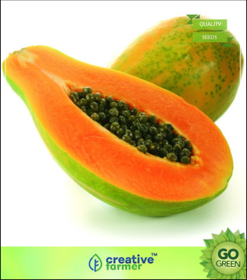 

Creative Farmer Fruit Seeds Fruit Seeds For Home Garden Organic Papaya Dwarf Garden Fruit Seeds For Home Garden Seed(20 per packet)