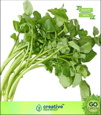 

Creative Farmer Herb Seeds Garden - Chinese Watercress Seed(20 per packet)