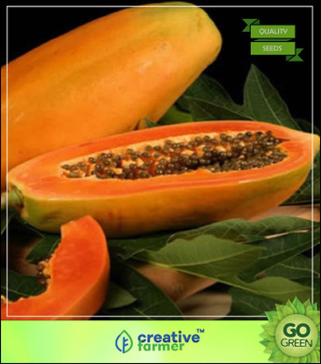 

Creative Farmer Papaya Seeds Pusa Fruit Seeds For Kitchen Garden Seed(20 per packet)