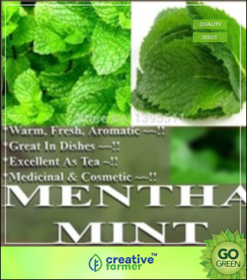 

Creative Farmer Herb Seeds Garden - Mint Culinary Imported Herb Seeds Seed(20 per packet)
