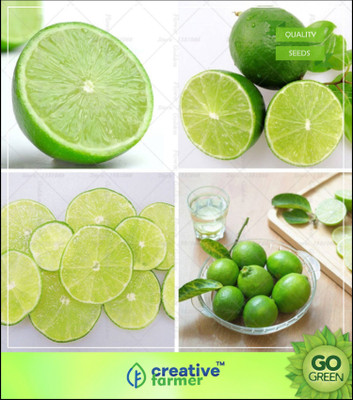 

Creative Farmer Lime Lemon Fruit Plant Seeds- Huge Production Fruit Seeds Mixed Seed(5 per packet)