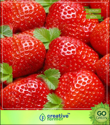 

Creative Farmer Herb Seeds For Kitchen Garden - Alpine Strawberry Seed(20 per packet)