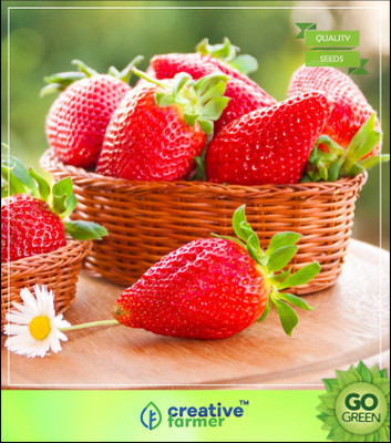 

Creative Farmer Herbal Plant Seeds - Alpine Strawberry Hybrid Seed(20 per packet)