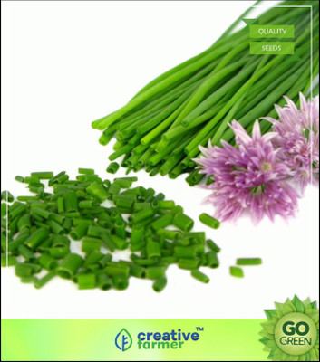 

Creative Farmer Herb Seeds Home Depot - Allium Schoenoprasum Chives Herb Seed(20 per packet)