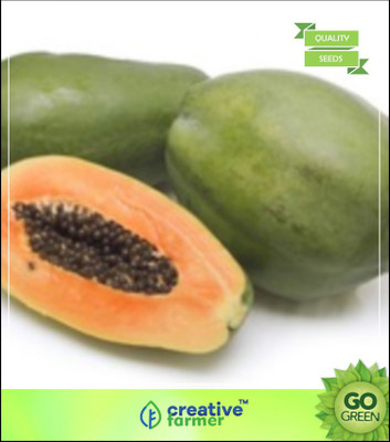 

Creative Farmer Indian Papaya Fruit Seeds Garden Fruit Seeds For Home Garden Seed(20 per packet)