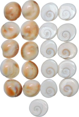 SHIVOHAM Maha Laxmi Gomti Chakra 21pcs ( 0.5 cm Crystal, White) Decorative Showpiece  -  3 cm(Stone, Brown)