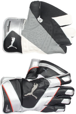 

Puma Evo power 5000 BG Wicket Keeping Gloves (Men, Black, Silver)