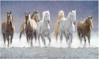 

Sehaz Artworks 7-Horse-the-border-run Sign(1)