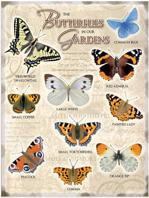 

Sehaz Artworks ButterfliesGarden Sign(1)