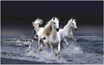 

Sehaz Artworks 3-white-horses Sign(1)
