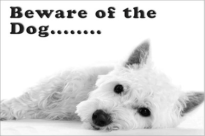 

Sehaz Artworks BewareOfTheCute Sign(1)