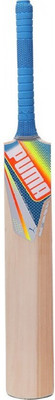 

Puma EVO SPEED GT Kashmir Willow Cricket Bat(0.950-1.000 kg