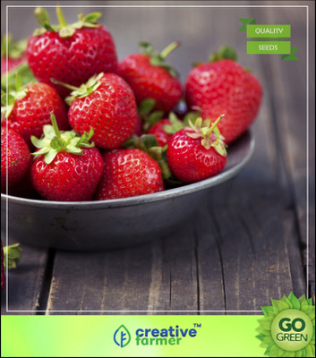 

Creative Farmer Exotic Herb Seeds - Strawberry Alpine Fragaria Variety Seed(20 per packet)