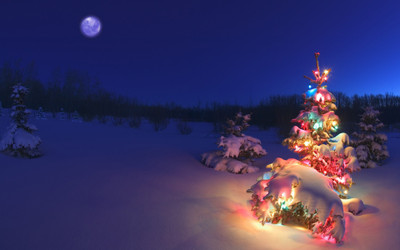 

Happy Holidays 2012 christmas ON FINE ART PAPER ON 24X36 LARGE POSTER Photographic Paper(36 inch X 24 inch, Rolled)