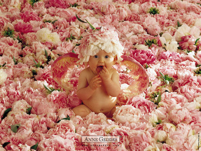 

Cute Baby in Flowers ON FINE ART PAPER HD QUALITY WALLPAPER POSTER Fine Art Print(19 inch X 13 inch, Rolled)