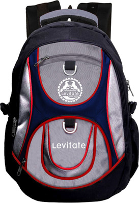

Levitate LOGAN V2 29 L Backpack(Multicolor), Navy grey
