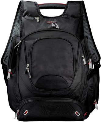 

Swiss TSA 17 inch Laptop Bag 17 L Laptop Backpack(Black)
