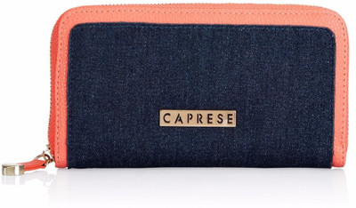 

Caprese Casual Blue, Pink Clutch