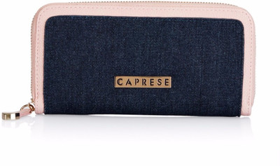 62 OFF on Caprese Casual Pink Clutch on Flipkart PaisaWapas