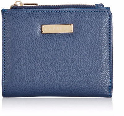 

Caprese Casual Blue Clutch