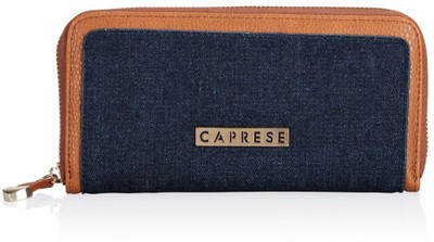 

Caprese Casual Blue, Brown Clutch