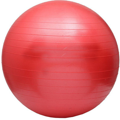 

Vijay Sports Anti Burst Gym Ball(With Pump), Red