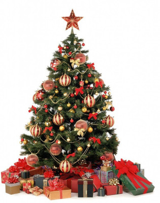 

Shop Online 1 Hanging Ornaments Pack of 37