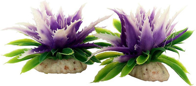 

SRI Laterite Planted Substrate(Purple)