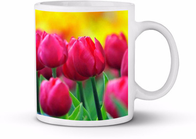 

thegiftstyle TGS0044 Ceramic Mug(325 ml), Multicolor