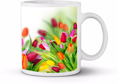 

thegiftstyle TGS0041 Ceramic Mug(325 ml), Multicolor