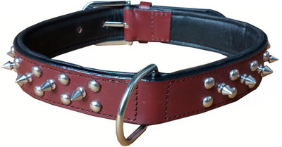 

Petshop7 Petshop7 Export Quality Genuine Leather Dog Collar with Spiked 1.50in Xtra Large Dog Everyday Collar(, Brown
