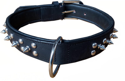 

Petshop7 Petshop7 Export Quality Genuine Leather Dog Collar with Spiked 1.50in Xtra Large Dog Everyday Collar(, Black