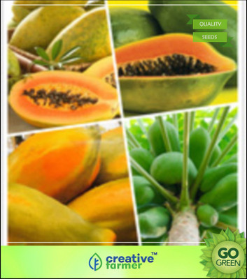 

Creative Farmer Papaya Fruit Seeds Melon Garden Fruit Seeds For Home Garden Seed(20 per packet)
