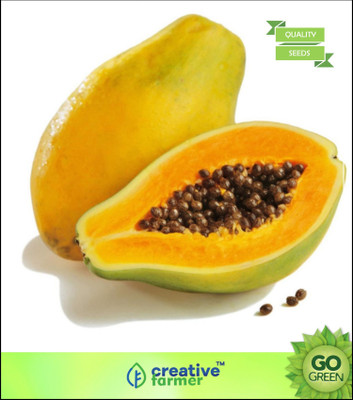 

Creative Farmer Papaya Taiwan Long Juicy Fruit Seeds Fruit Seeds For Garden Seed(20 per packet)
