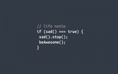 

QUOTE LIFE PROGRAMMING ON FINE ART PAPER HD QUALITY WALLPAPER POSTER Fine Art Print(19 inch X 13 inch, Rolled)