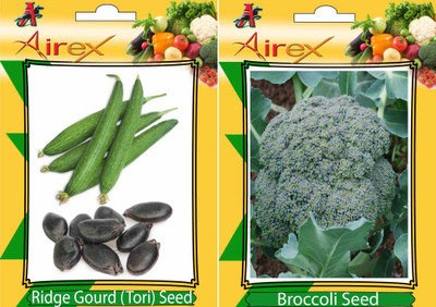 Airex Ridge Gourd (Tori), Broccoli Seed(20 per packet)