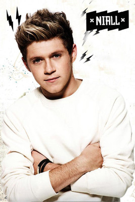 

Posterhouzz One Direction - Niall Poster Fine Art Print(18 inch X 12 inch, Rolled)