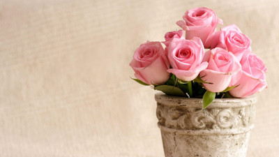 

roses flowers pot petals FINE ART HI QUALITY LARGE PRINT 36X24 INCHES Photographic Paper(36 inch X 24 inch, Rolled)