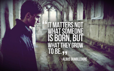 

Harry Potter ON HI QUALITY LARGE PRINT 36X24 INCHES Photographic Paper(36 inch X 24 inch, Rolled)