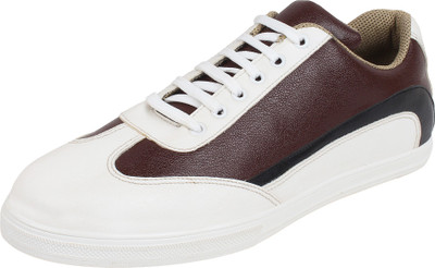 

SASSIE Sneakers For Men(Brown