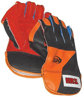 

HRS COLLEGE WICKET KEEPING GLOVES (Boys) Wicket Keeping Gloves (Boys, Multicolor)