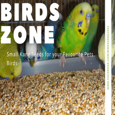 

Birds Zone Love Birds & Cockateils Kang seeds 1 Kg 1 kg Dry Bird Food