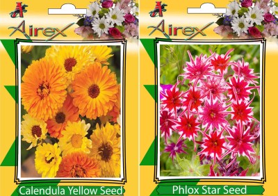 Airex Calendula Yellow, Phlox Star (Twinkle Star) Seed(15 per packet)