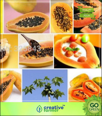 

Creative Farmer Fruit Seeds Papaya Selection Farm Seeds Fruit Seeds Hybrid Seed(20 per packet)
