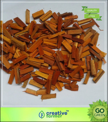 

Creative Farmer Tree Seeds : Ornamental Tree Sappan Wood Is A Small Thorny Tree Seed(20 per packet)