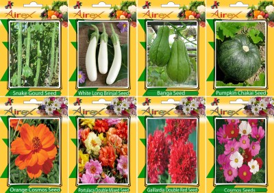 Airex Snake Gourd, White Long Brinjal, Banga, Pumpkin, Orange Cosmos, Portulaca Mixed, Gaillardia Double Red, Cosmos Mixed Seed(20 per packet)