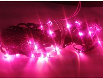 Ascension 55 LEDs 10 m Pink Steady String Rice Lights(Pack of 2)