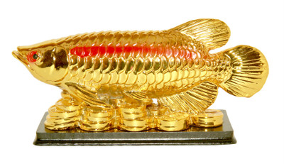 

Vastu Art Vastu / Fengshui / Arowana Fish On Money Coins Bed For Wealth And Prosperity Decorative Showpiece - 8 cm(Polyresin, Gold)