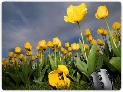 

Claptrap mp-772 Mousepad(Multicolur)