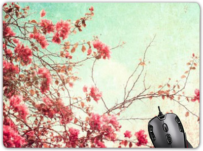 

Claptrap mp-831 Mousepad(Multicolur)